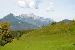 Ausblick zum Untersberg