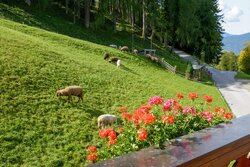 Ausblick vom Balkon