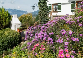 Liebevoll gepflegter Bauerngarten und Grillplatz am Haus